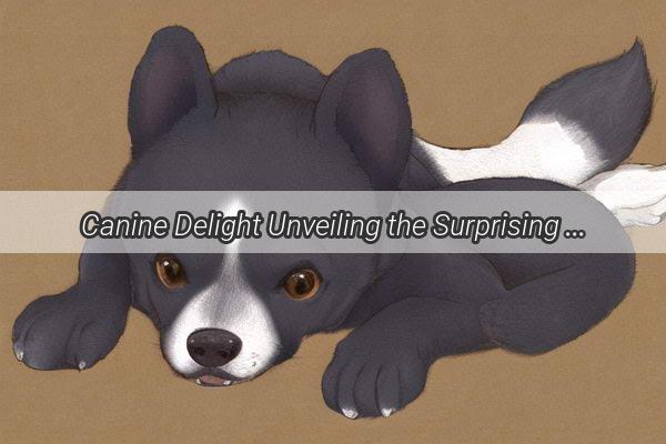 Canine Delight Unveiling the Surprising Truth About Dogs and Chestnut Buns